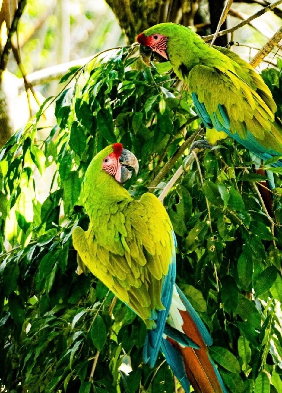 import placeholder for 789 import placeholder for 789