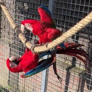 Home import placeholder for 792