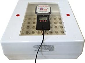 import placeholder for 710