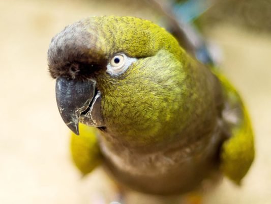 auto draft auto draft