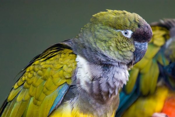 auto draft auto draft