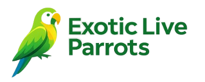 Home exotic removebg preview